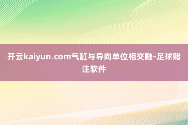 开云kaiyun.com气缸与导向单位相交融-足球赌注软件