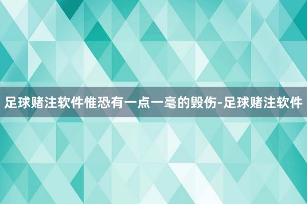 足球赌注软件惟恐有一点一毫的毁伤-足球赌注软件