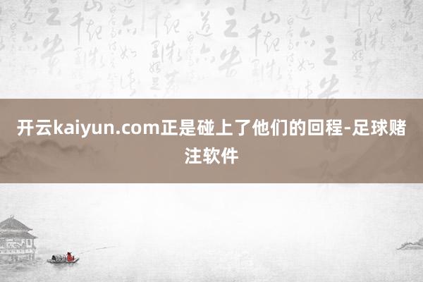 开云kaiyun.com正是碰上了他们的回程-足球赌注软件