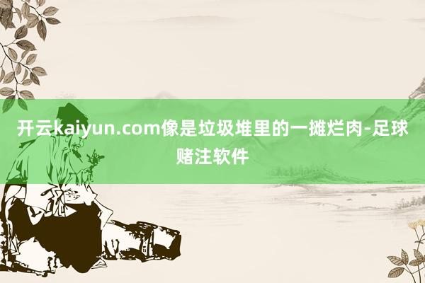 开云kaiyun.com像是垃圾堆里的一摊烂肉-足球赌注软件