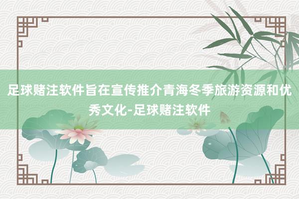 足球赌注软件旨在宣传推介青海冬季旅游资源和优秀文化-足球赌注软件