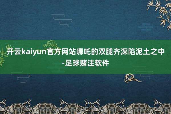 开云kaiyun官方网站哪吒的双腿齐深陷泥土之中-足球赌注软件