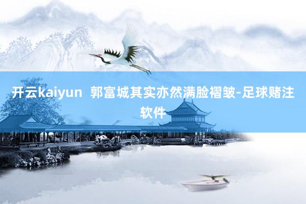 开云kaiyun  郭富城其实亦然满脸褶皱-足球赌注软件