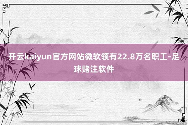 开云kaiyun官方网站微软领有22.8万名职工-足球赌注软件