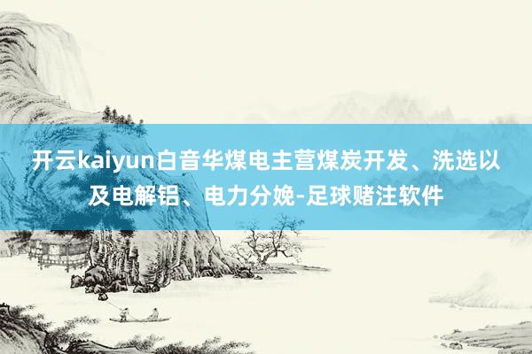 开云kaiyun白音华煤电主营煤炭开发、洗选以及电解铝、电力分娩-足球赌注软件