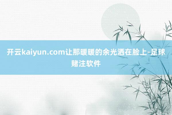 开云kaiyun.com让那暖暖的余光洒在脸上-足球赌注软件