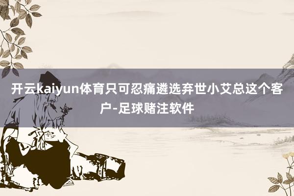 开云kaiyun体育只可忍痛遴选弃世小艾总这个客户-足球赌注软件