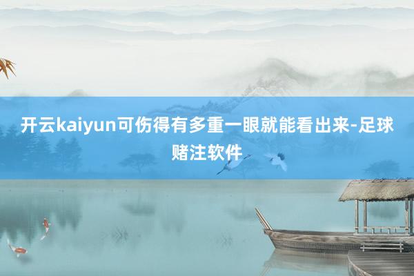 开云kaiyun可伤得有多重一眼就能看出来-足球赌注软件
