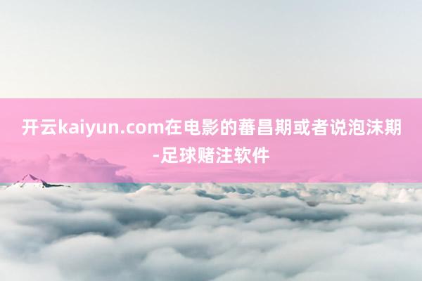 开云kaiyun.com在电影的蕃昌期或者说泡沫期-足球赌注软件