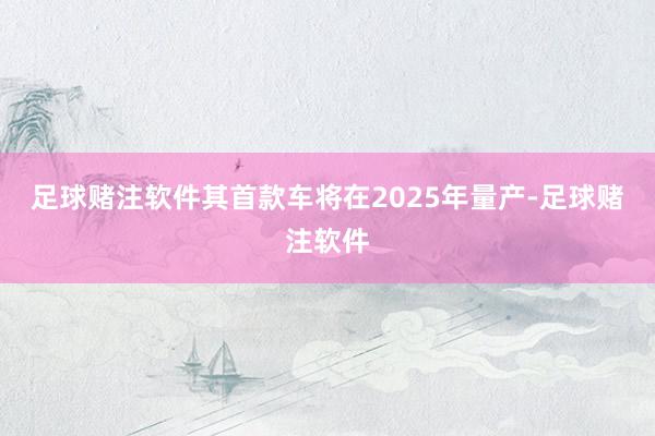 足球赌注软件其首款车将在2025年量产-足球赌注软件