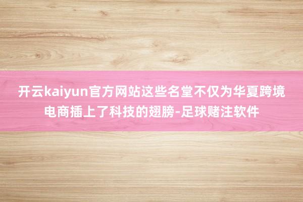 开云kaiyun官方网站这些名堂不仅为华夏跨境电商插上了科技的翅膀-足球赌注软件