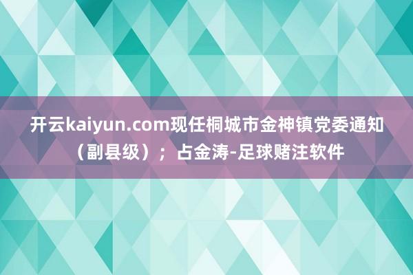 开云kaiyun.com现任桐城市金神镇党委通知（副县级）；占金涛-足球赌注软件