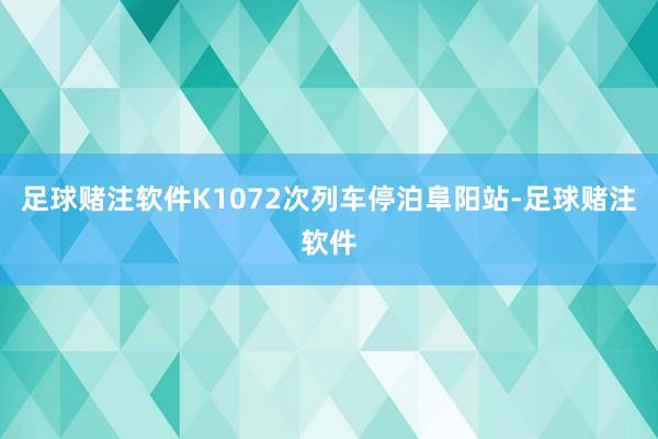 足球赌注软件K1072次列车停泊阜阳站-足球赌注软件