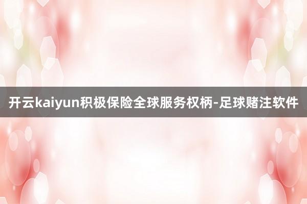 开云kaiyun积极保险全球服务权柄-足球赌注软件