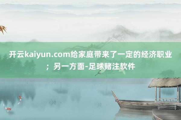 开云kaiyun.com给家庭带来了一定的经济职业；另一方面-足球赌注软件