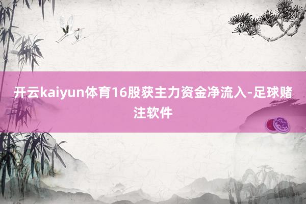 开云kaiyun体育16股获主力资金净流入-足球赌注软件
