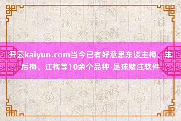 开云kaiyun.com当今已有好意思东谈主梅、丰后梅、江梅等10余个品种-足球赌注软件