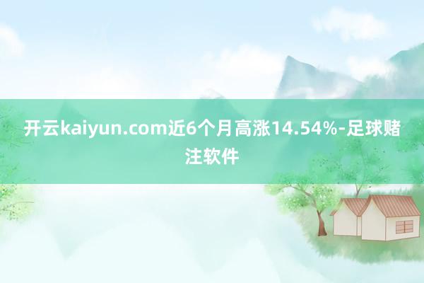 开云kaiyun.com近6个月高涨14.54%-足球赌注软件