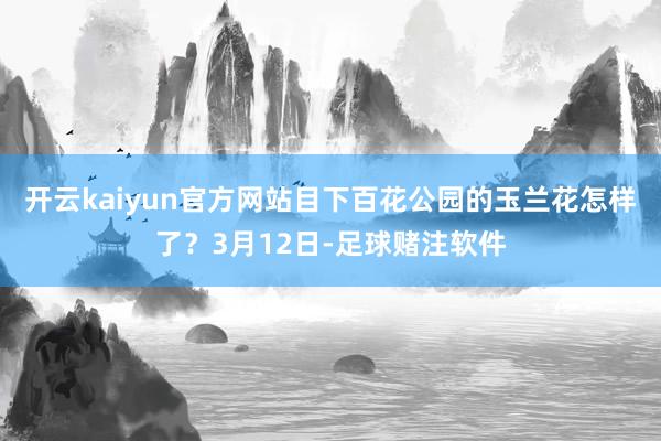 开云kaiyun官方网站目下百花公园的玉兰花怎样了？3月12日-足球赌注软件