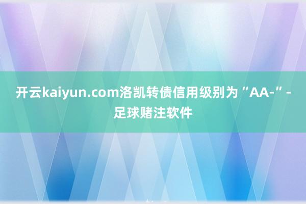 开云kaiyun.com洛凯转债信用级别为“AA-”-足球赌注软件