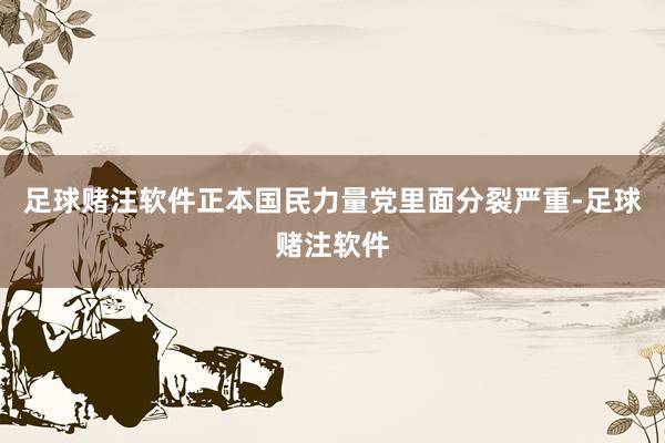 足球赌注软件正本国民力量党里面分裂严重-足球赌注软件