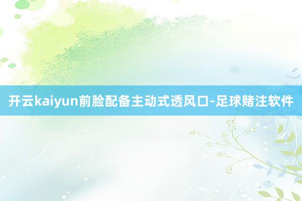 开云kaiyun前脸配备主动式透风口-足球赌注软件