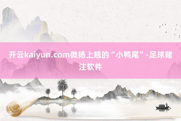 开云kaiyun.com微扬上翘的“小鸭尾”-足球赌注软件
