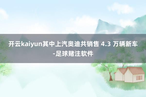 开云kaiyun其中上汽奥迪共销售 4.3 万辆新车-足球赌注软件