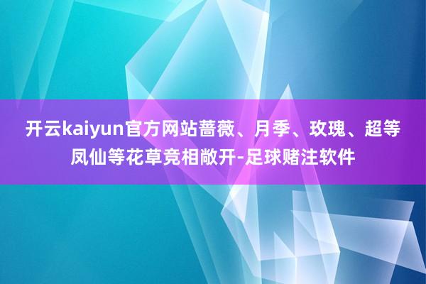 开云kaiyun官方网站蔷薇、月季、玫瑰、超等凤仙等花草竞相敞开-足球赌注软件
