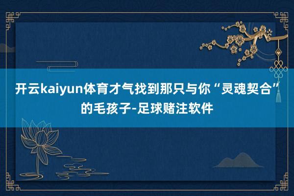 开云kaiyun体育才气找到那只与你“灵魂契合”的毛孩子-足球赌注软件