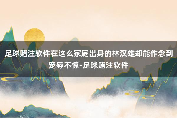 足球赌注软件在这么家庭出身的林汉雄却能作念到宠辱不惊-足球赌注软件