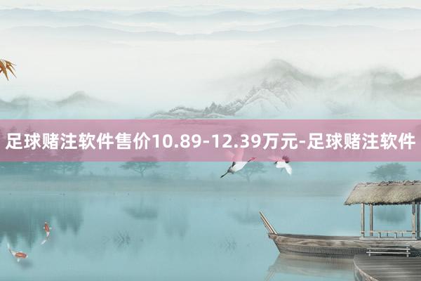 足球赌注软件售价10.89-12.39万元-足球赌注软件
