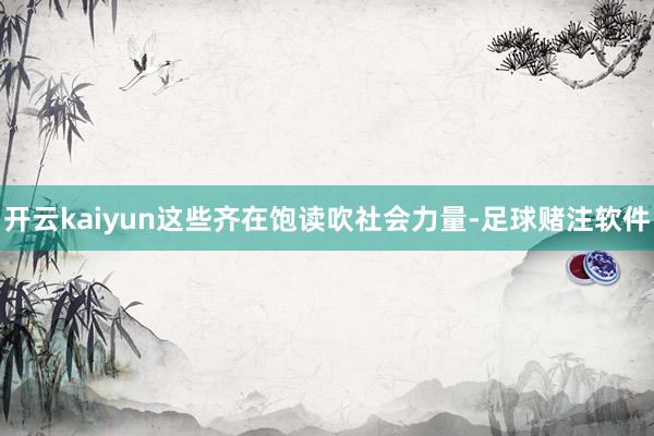 开云kaiyun这些齐在饱读吹社会力量-足球赌注软件