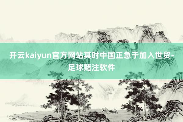 开云kaiyun官方网站其时中国正急于加入世贸-足球赌注软件