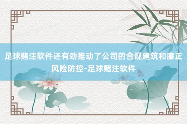 足球赌注软件还有劲推动了公司的合规建筑和廉正风险防控-足球赌注软件