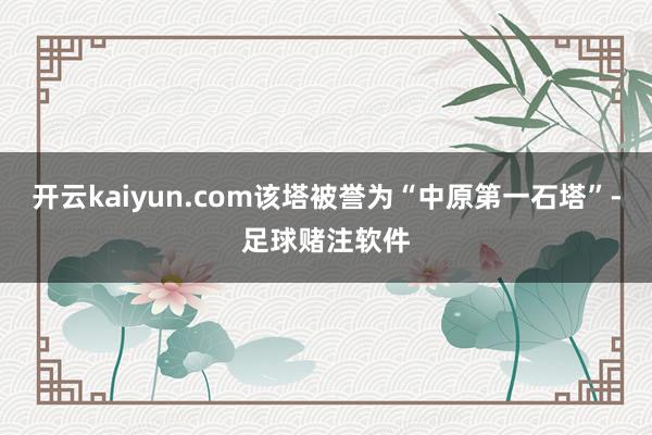 开云kaiyun.com该塔被誉为“中原第一石塔”-足球赌注软件