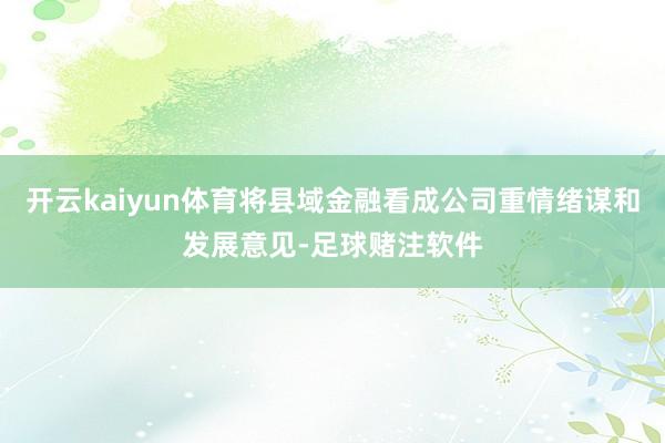 开云kaiyun体育将县域金融看成公司重情绪谋和发展意见-足球赌注软件