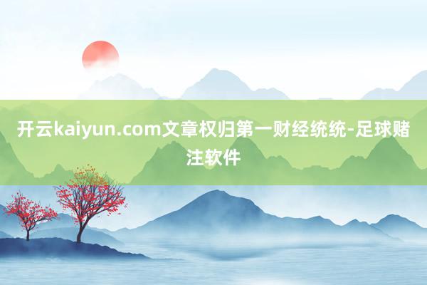 开云kaiyun.com文章权归第一财经统统-足球赌注软件