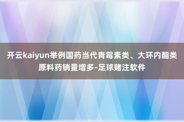 开云kaiyun举例国药当代青霉素类、大环内酯类原料药销量增多-足球赌注软件
