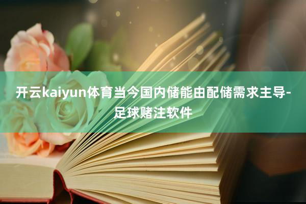 开云kaiyun体育当今国内储能由配储需求主导-足球赌注软件