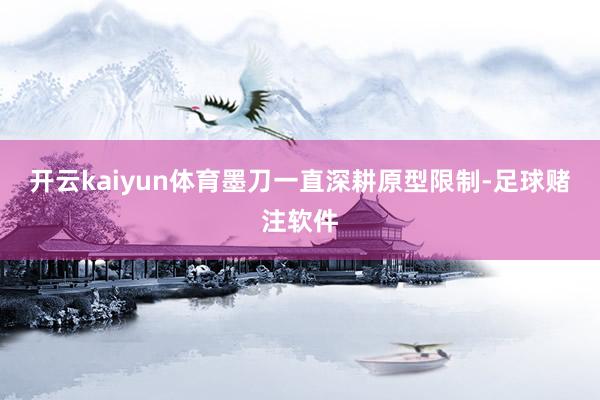 开云kaiyun体育墨刀一直深耕原型限制-足球赌注软件