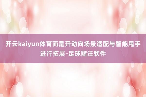 开云kaiyun体育而是开动向场景适配与智能甩手进行拓展-足球赌注软件