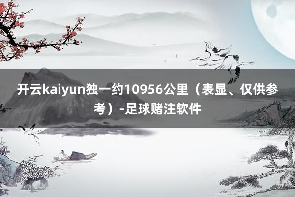 开云kaiyun独一约10956公里（表显、仅供参考）-足球赌注软件