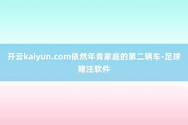 开云kaiyun.com依然年青家庭的第二辆车-足球赌注软件