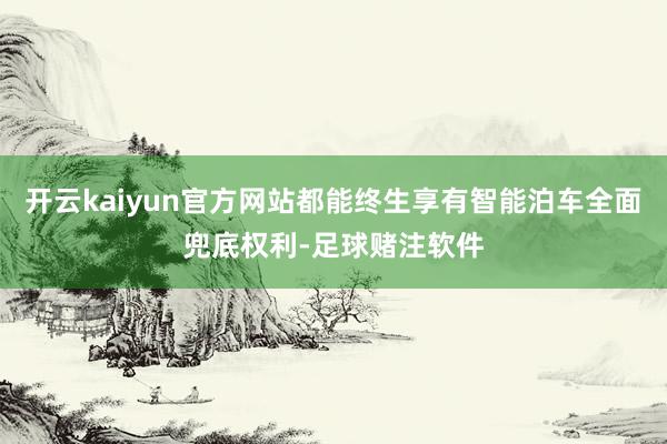 开云kaiyun官方网站都能终生享有智能泊车全面兜底权利-足球赌注软件