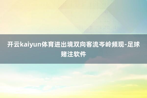 开云kaiyun体育进出境双向客流岑岭频现-足球赌注软件