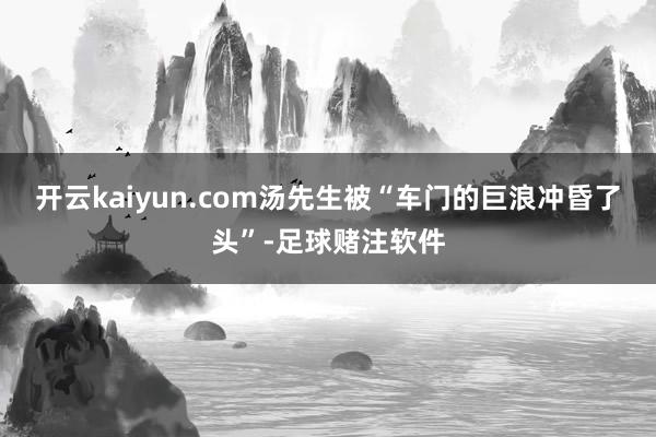 开云kaiyun.com汤先生被“车门的巨浪冲昏了头”-足球赌注软件
