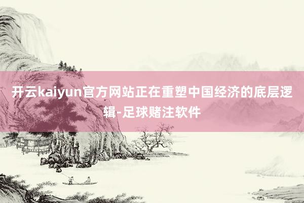开云kaiyun官方网站正在重塑中国经济的底层逻辑-足球赌注软件