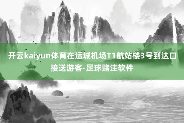 开云kaiyun体育在运城机场T1航站楼3号到达口接送游客-足球赌注软件