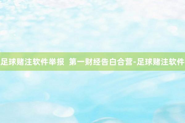 足球赌注软件举报  第一财经告白合营-足球赌注软件